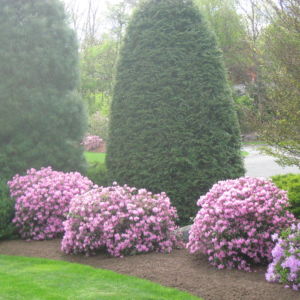 By Design Landscape Concepts, Inc.