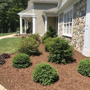 By Design Landscape Concepts, Inc.