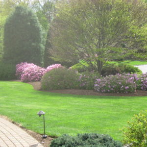 By Design Landscape Concepts, Inc.